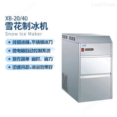 净信XB-200雪花制冰机小型医学实验大型海鲜火锅西餐日料保鲜