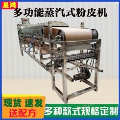 星鸿多功能蒸汽式粉皮机 全自动绿豆粉皮机器 提供生产技术