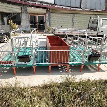 单双体母猪产床 产保一体保育床畜牧业自动化养猪设备