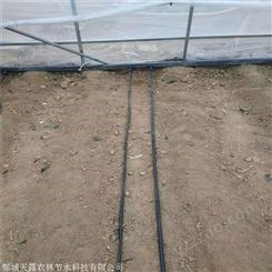 许昌大棚蔬菜灌溉设备迷宫式滴灌带水肥一体化