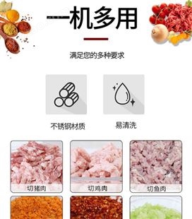 百成DQ-1切肉机绞肉机 不锈钢立式切肉片机 电动商用单规格碎肉机