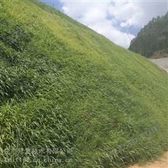 云南山体边坡治理工程绿化土壤保水剂