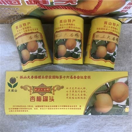 丹東特產杏梅罐頭  水果罐頭 罐頭批發