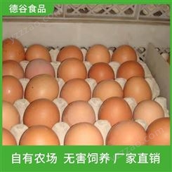 农家五谷蛋供应商_德谷食品_散养农家蛋批发_量大从优