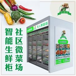 河北九善果蔬叔自动蔬菜生鲜柜品牌,智能果蔬柜让社区生活更美好
