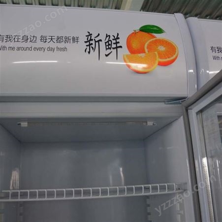 浙江商用冰柜饮料啤酒冷柜 立式单双门水果保鲜冷藏展示柜