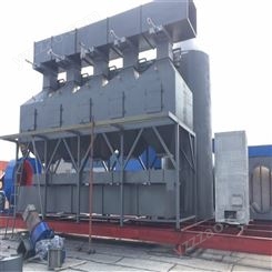 苏州废气催化燃烧装置   生产厂家蓝阳环保   来电订购设备