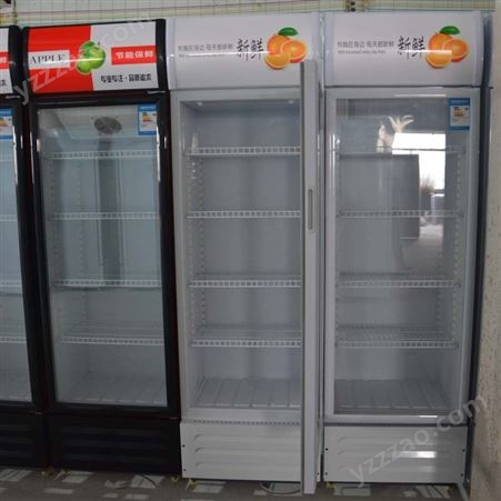浙江商用冰柜饮料啤酒冷柜 立式单双门水果保鲜冷藏展示柜
