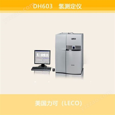 DH603氢测定仪