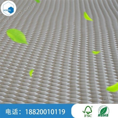广州新型蜂巢仿生结构材料 PP塑料蜂窝板厂家