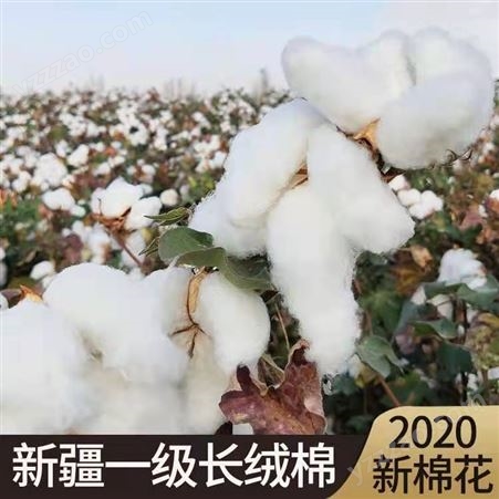 成都本地新疆棉花被 一级优质长绒棉 手工纯棉被定做 冬被全棉