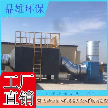 上海低温等离子除臭净化设备 脱销废气处理设备上门评估风量