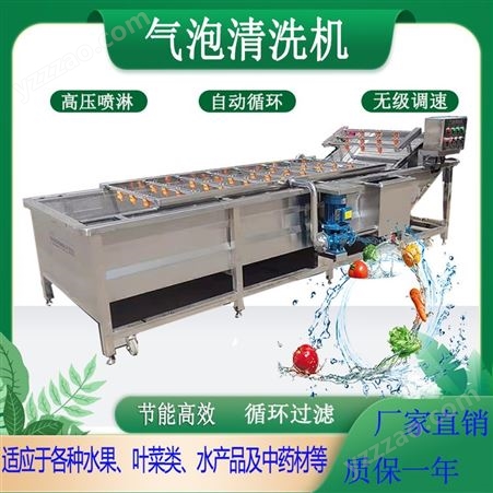 LYQX-3000高压喷淋气泡果蔬清洗流水线 叶类菜清洗机 净菜加工成套设备