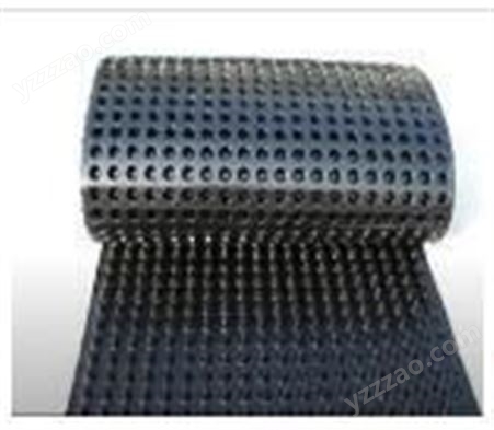 隆辉排水板 HDPE排水板 凹凸型排水板 种类齐全-西安排水板厂家