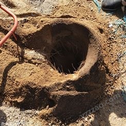 悬挂式钻地挖洞机 双人手扶挖坑机 安全耐用挖坑机
