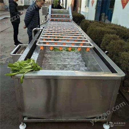 水果蔬菜清洗机 果蔬清洗加工设备  自动提升喷淋洗菜机