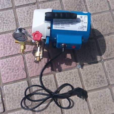 ppr水管检漏仪 振昌机械 DSY-60铜泵头管路测压机器