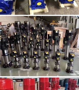利瑞厂家直供不锈钢循环泵 铸钢单级管道泵 多级卧式离心泵