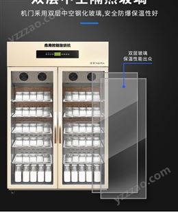 主派商用酸奶水果捞设备醒发箱发酵柜全自动一体风冷双门酸奶机