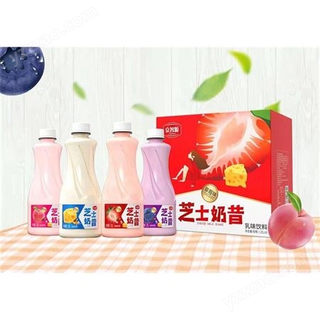 京智源蓝莓乳味饮料价格