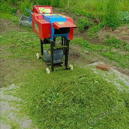 输送带铡草机 畜牧养殖用打草机 干湿饲料铡草机 铡草机 盛祥顺
