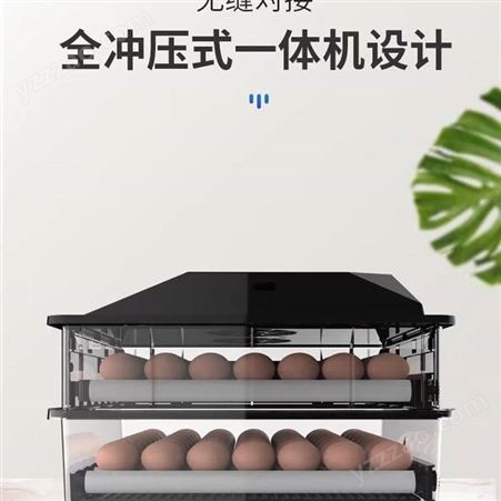 中禧 小型家用孵蛋机 全自动蛋类孵化器 多功能孵化机ZX-56