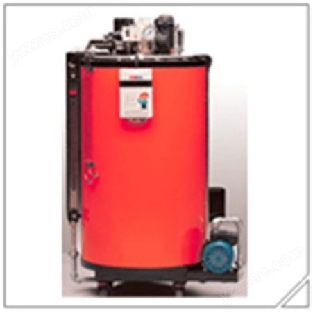 燃气锅炉 电蒸汽发生器 高效，节能，绿色环保产品